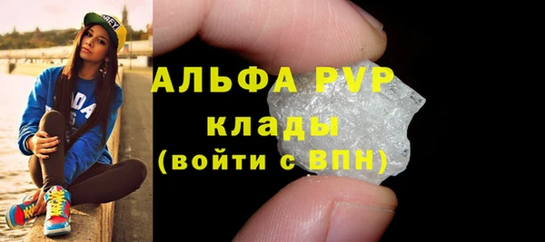 индика Абаза