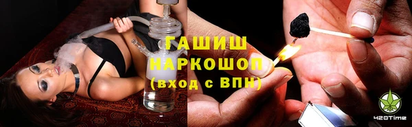 индика Абаза