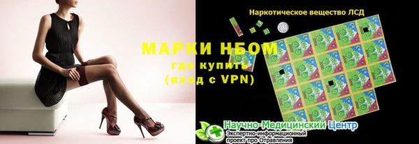 индика Абаза
