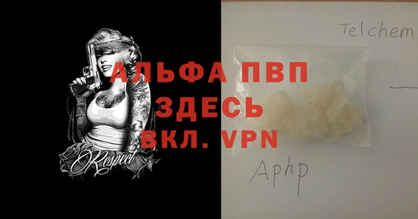индика Абаза