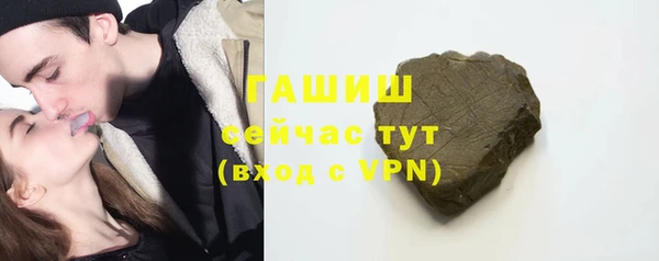 индика Абаза