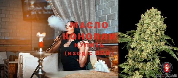 индика Абаза