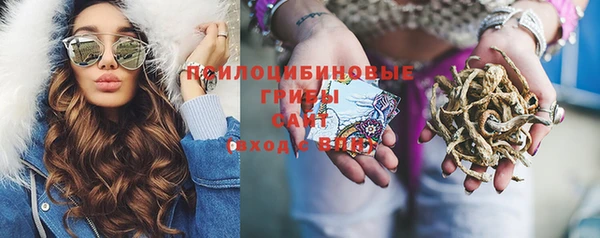 индика Абаза