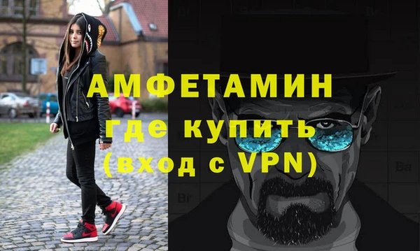 индика Абаза