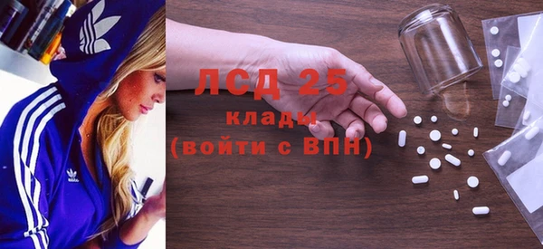 индика Абаза